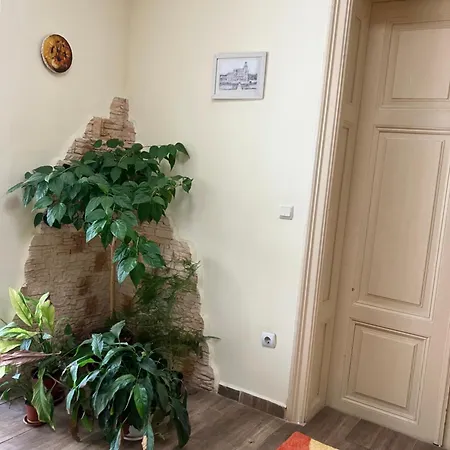Hostel Rayska Yabalka *
